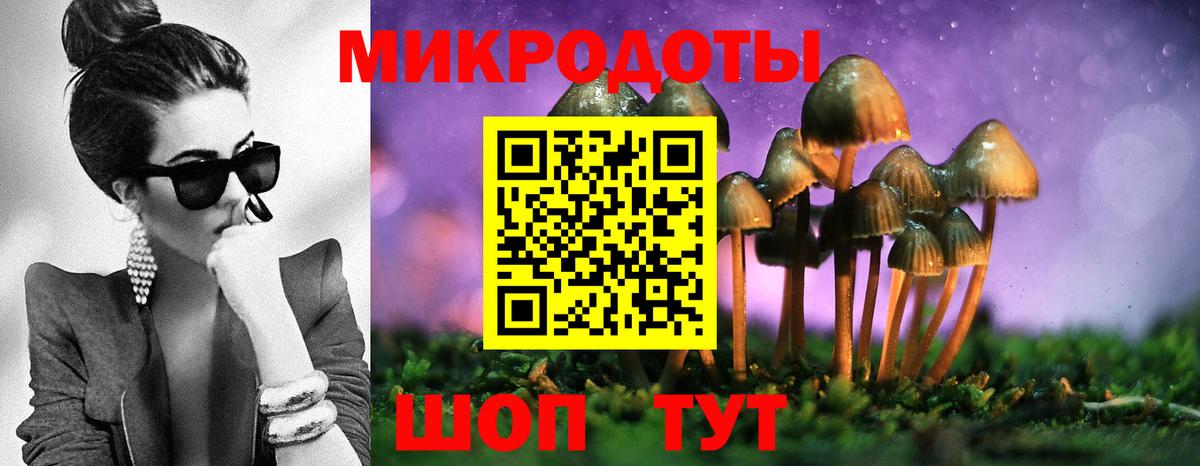 Галлюциногенные грибы Cubensis  Вход с VPN  сколько стоит  Псилоцибиновые грибы Psilocybine cubensis  Домодедово 