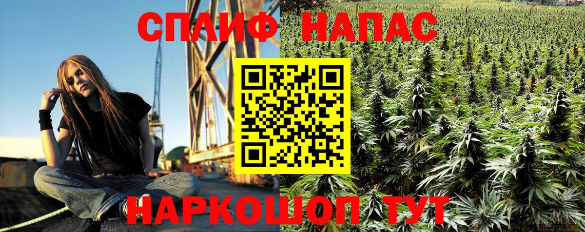 Бошки марихуана White Widow  Бошки марихуана THC 21%  Бошки марихуана Amnesia  Домодедово  Вход с VPN 